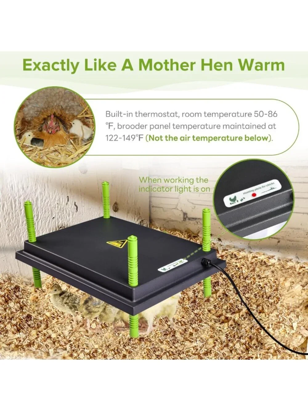 Chick Heating Plate 12x16” - Warm Up to 40 Chicks, Ideal for Brooding & Comfort